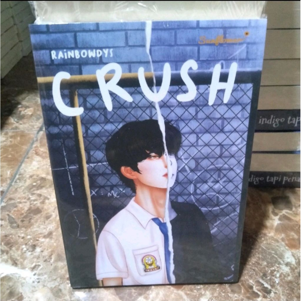 Novel Crush,Rainbondys