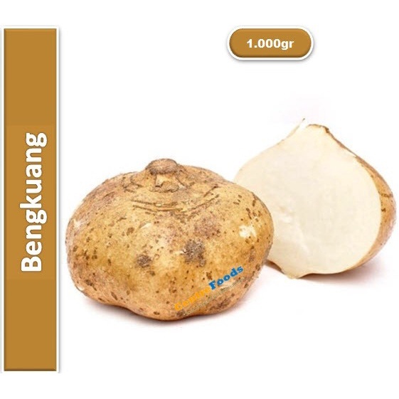 

Bengkoang bengkuang fresh 1 kg langsung ambil dari kebun