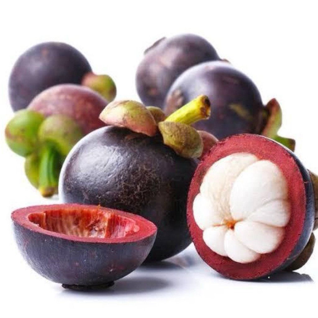

Buah Manggis Manis Fresh 1kg 1000gram Mangosteen Fruit