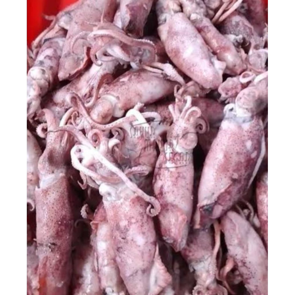 

100 Gram Cumi Asin Kering Murah Enak