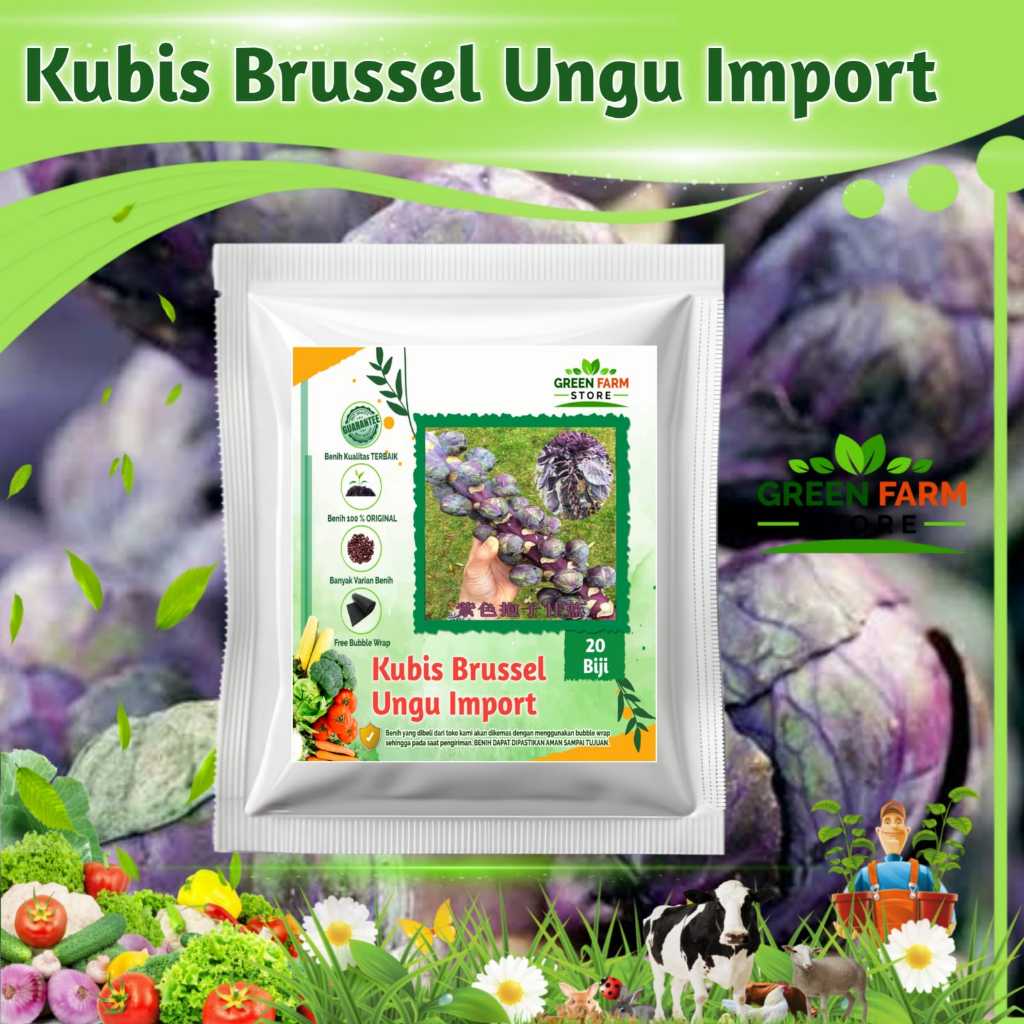 Benih Kubis Mini Brussel Ungu Import (20 biji)