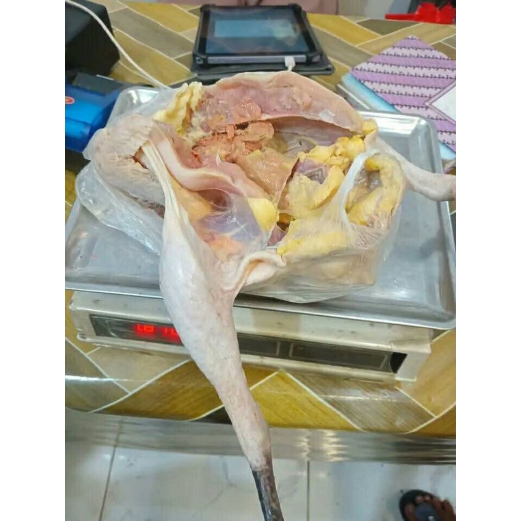 

Ayam kampung berat 1.2kg sudah beserta ati dan ampela