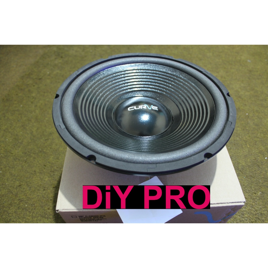 SPEAKER 12 INCH  WOOFER DAN FULLRANGE CURVE