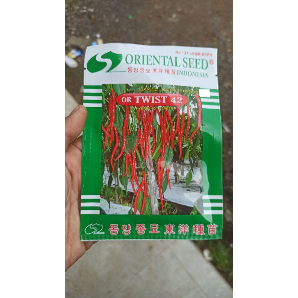 BENIH CABAI KERITING OR TWIST 42 F1 HYBRIDA BIBIT CABE ORIENTAL SEED ORIGINAL