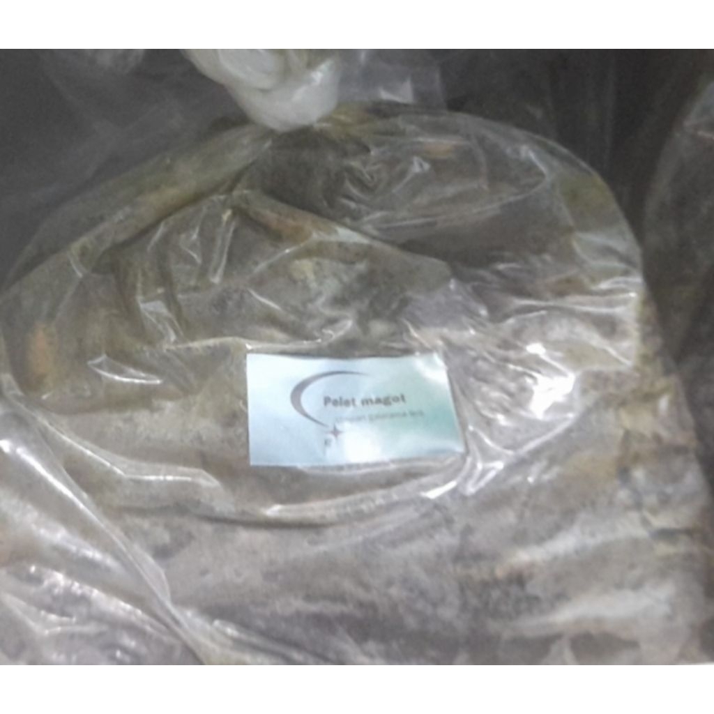 pelet magot hijau