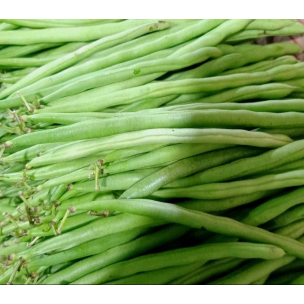 

Buncis Hijau Fresh 500gr