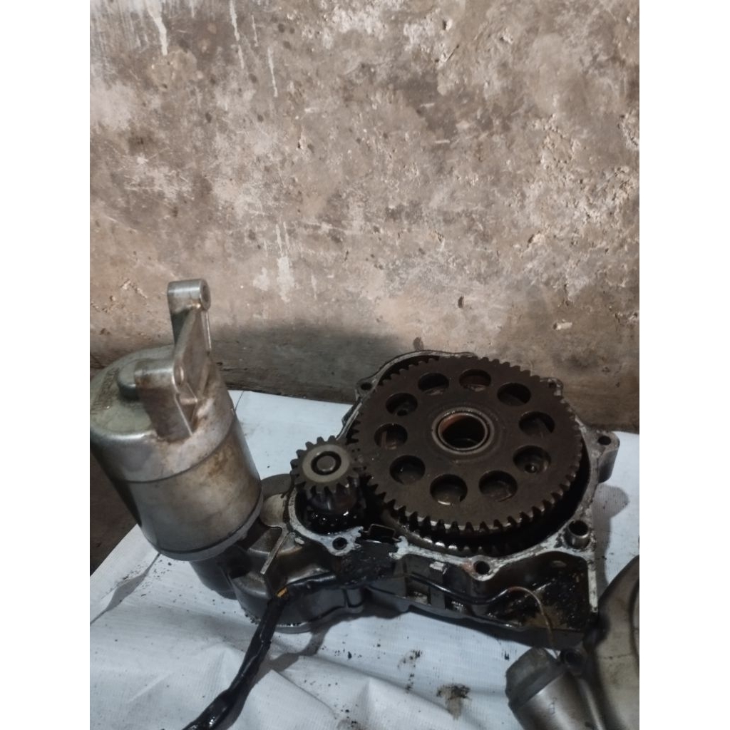 dobel stater set tiger/tirev