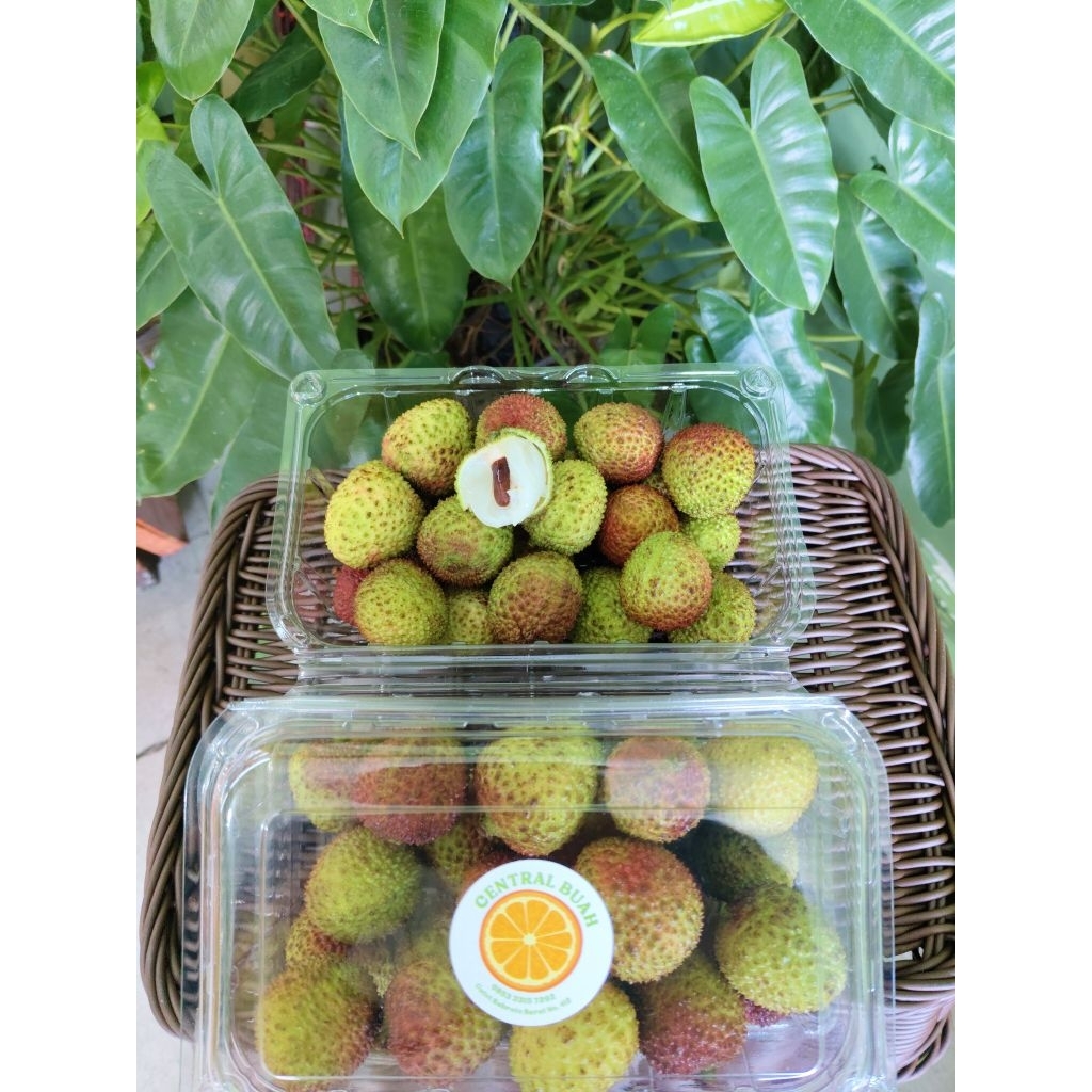 

Lyche Cina Pack Manis banyak airnya