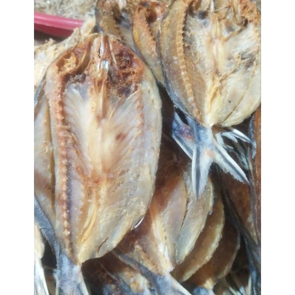 

ikan kering sinrili