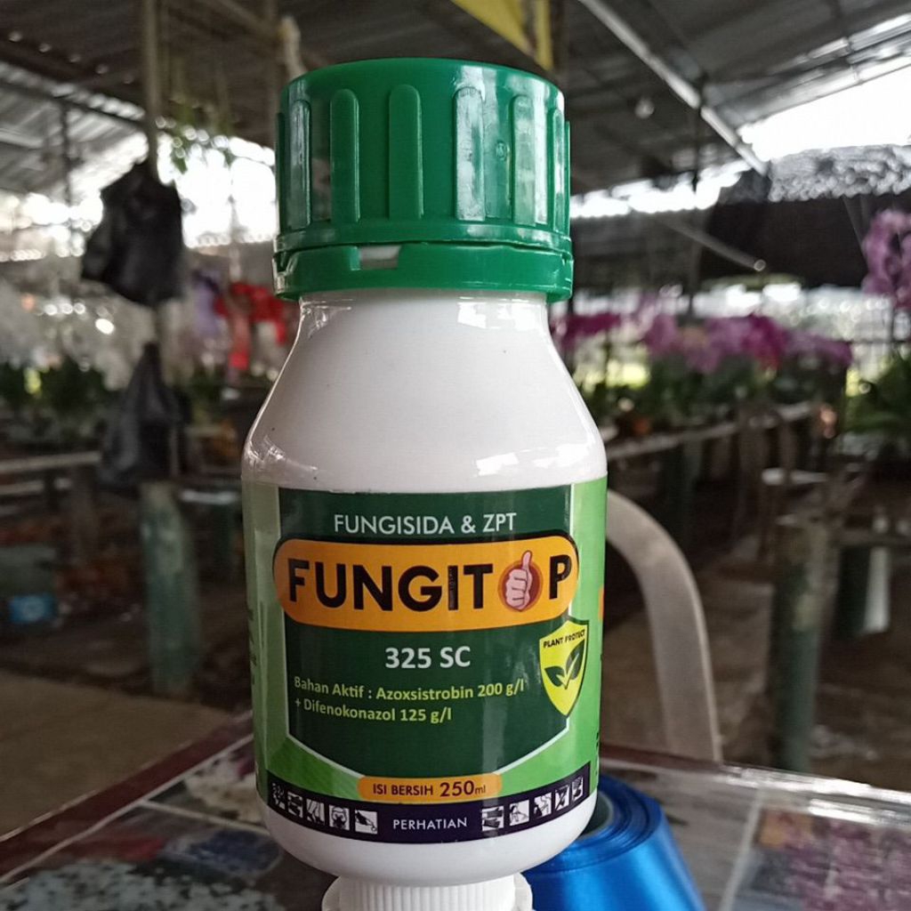 FungiTop (Fungisida & ZPT)