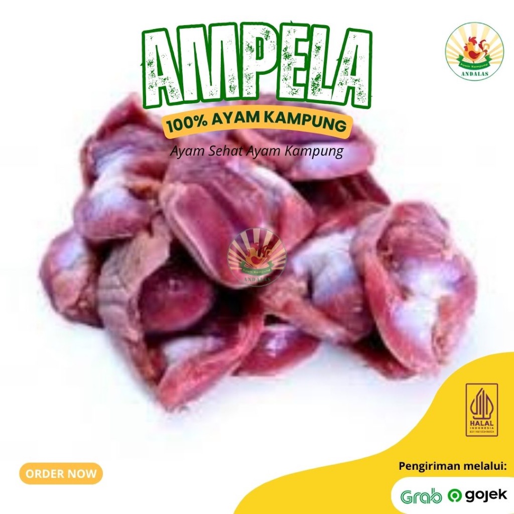 

Ampela Ayam Kampung Asli 100% | 250 Gram