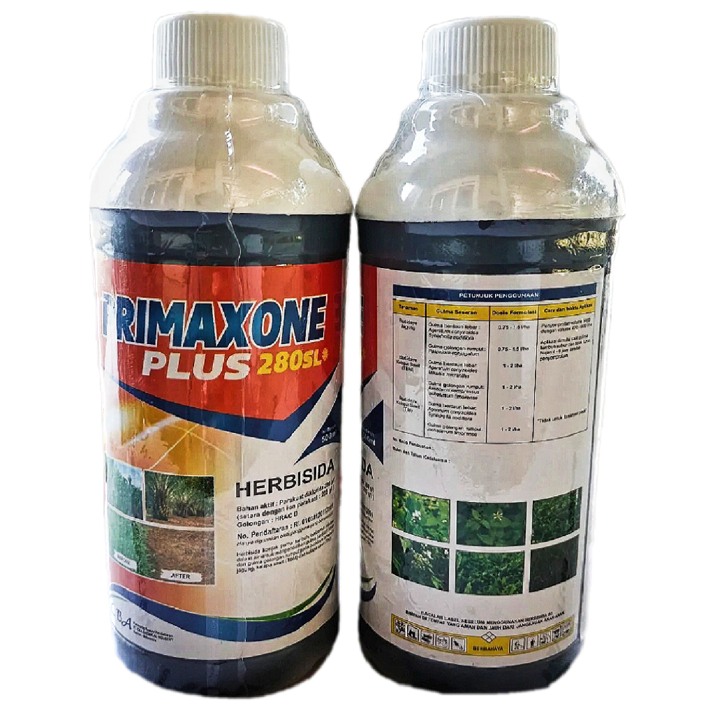 Primaxone Plus