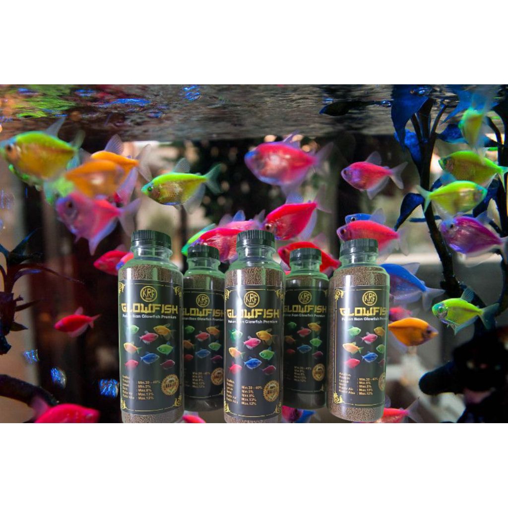 Pakan Ikan Glow Fish berkualitas Tinggi