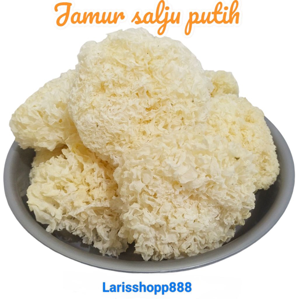 

jamur putih / jamur salju kering / snow white fungus 100gr ls