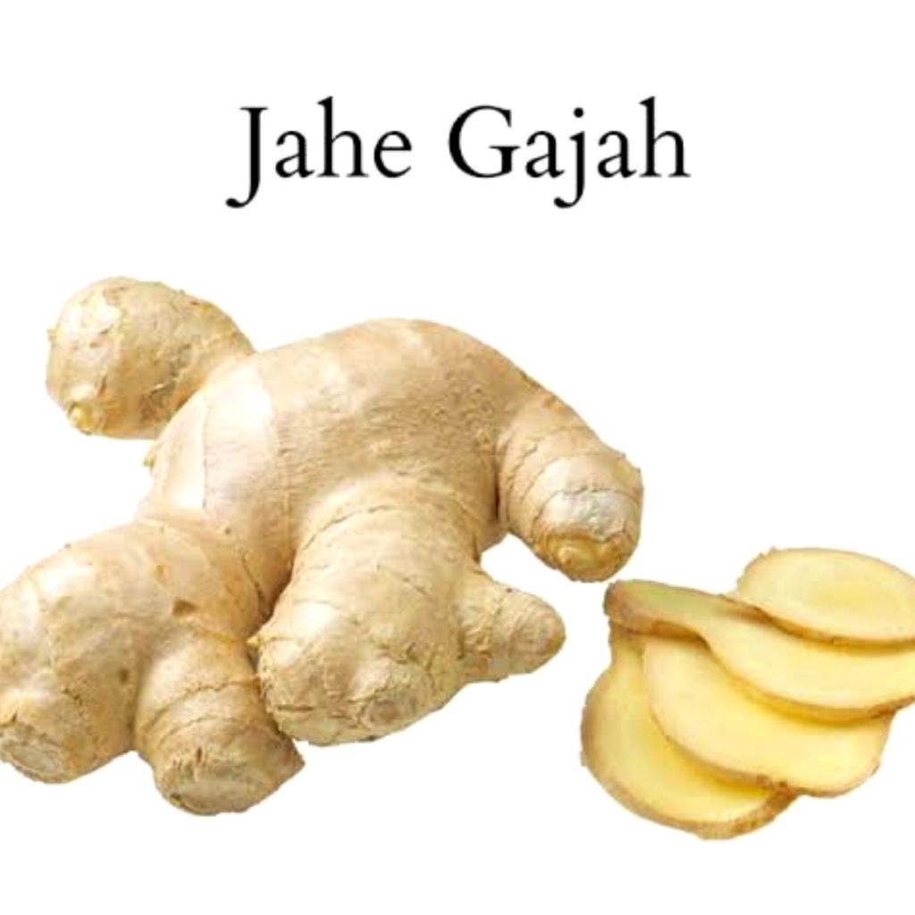

JAHE GAJAH PUTIH PREMIUM 1 KG: Rahasia Kesehatan Alami untuk Daya Tahan Tubuh Optimal!Deskripsi Singkat
