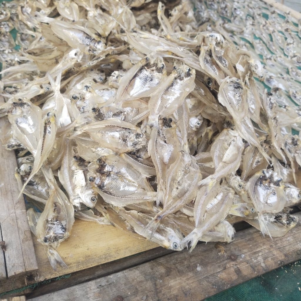 

Termurah..!! Ikan Asin Belahan kalapan Tawar 100 gram