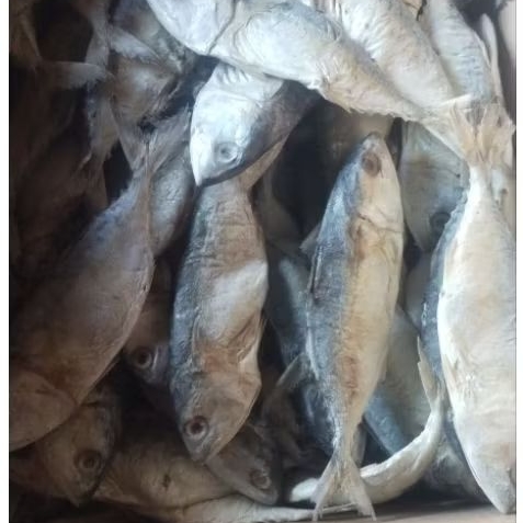 

IKAN Asin Murah kembung Kecil 500 gram