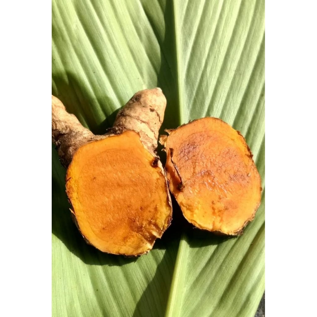 

temulawak segar 1kg,temulawak herbal