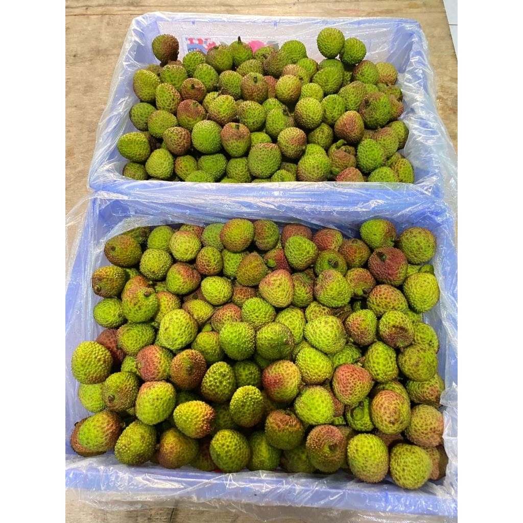 

INSTAN LECY 1 KRAT +-5.5 KG