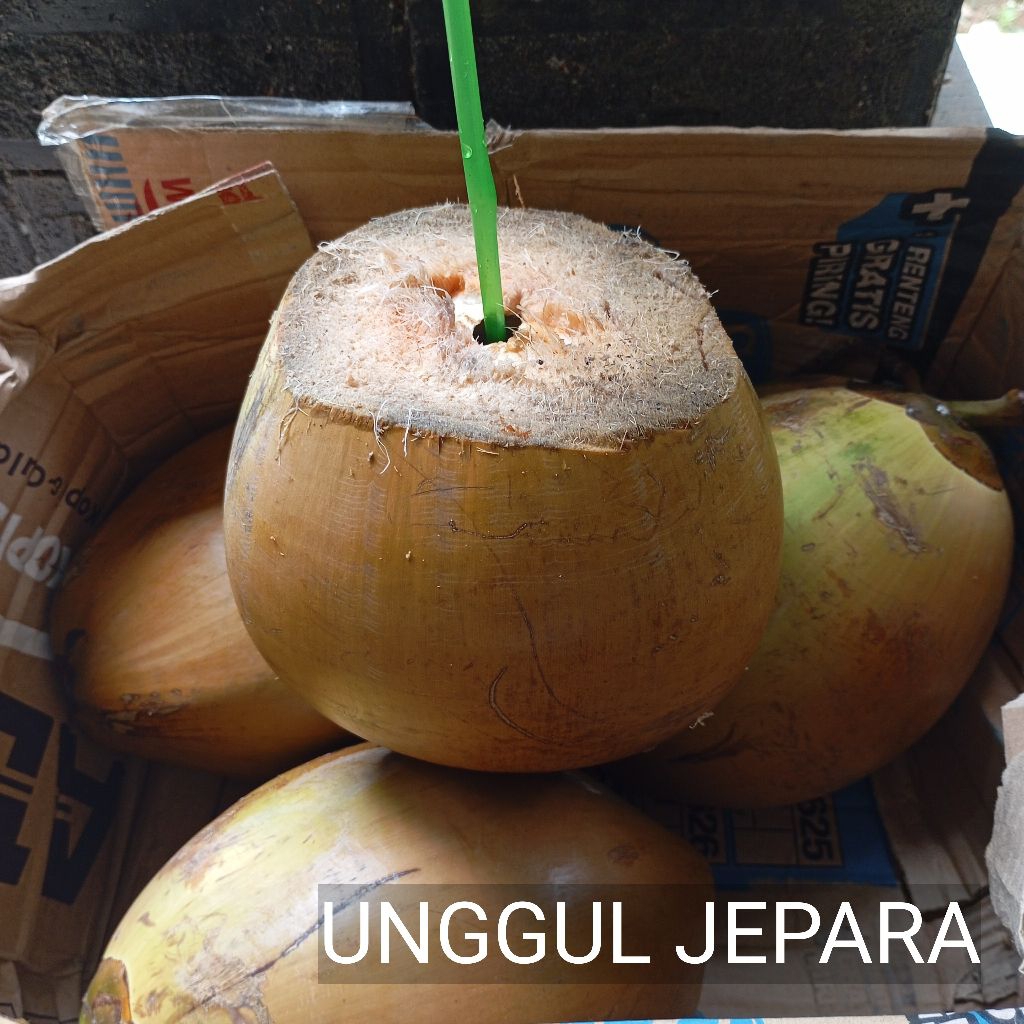 

KELAPA GADING KUNING 3KG
