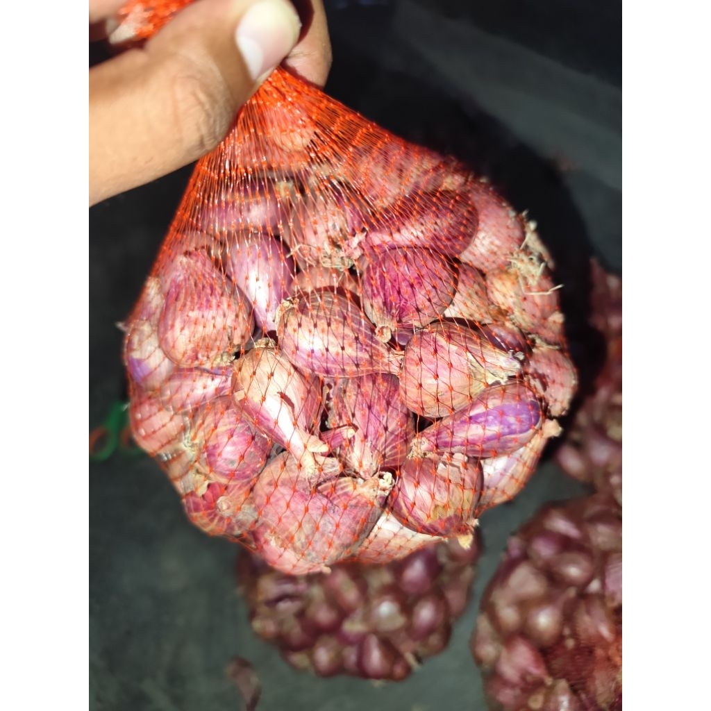 

ready stock bawang merah asli Nganjuk