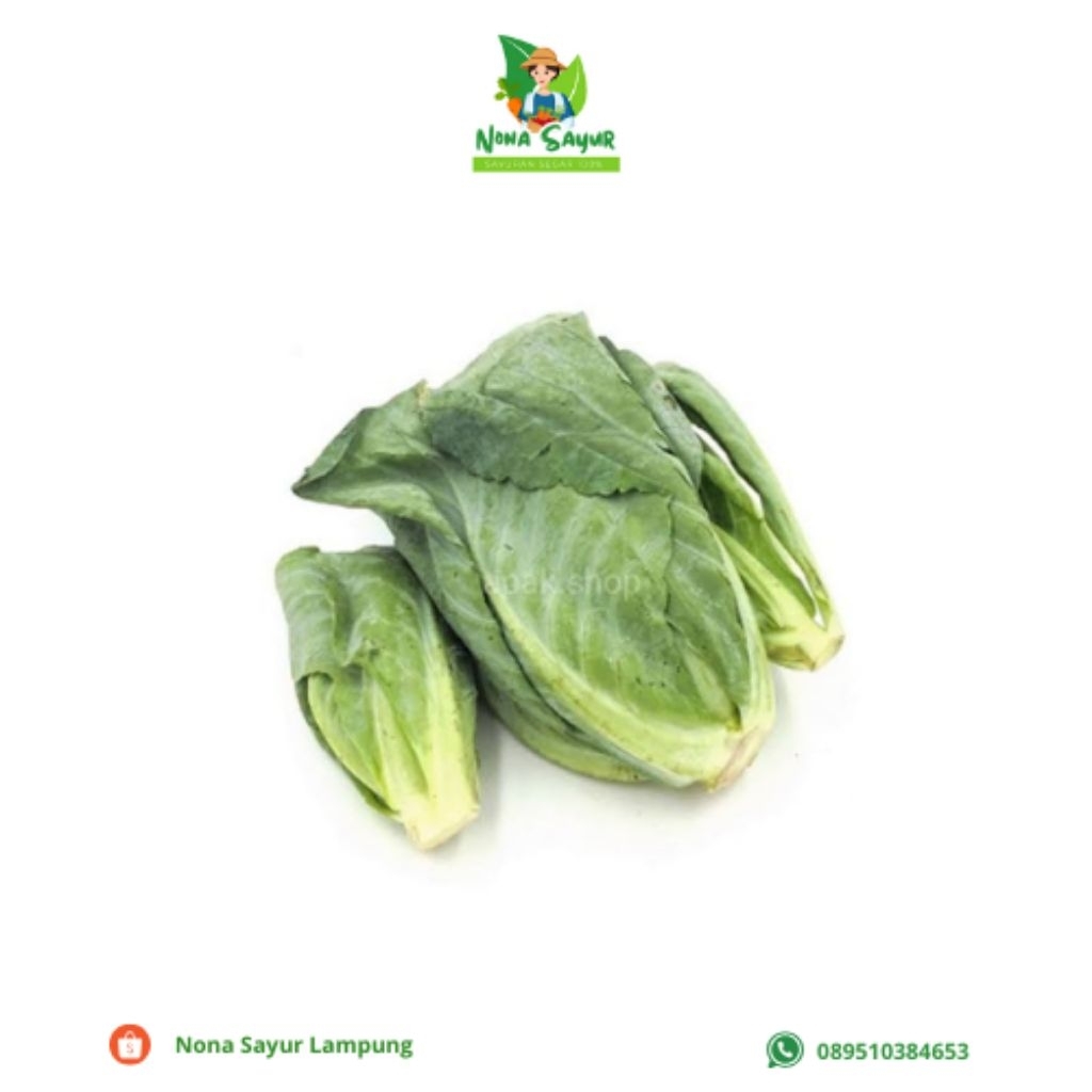 

Tunas Kol 1 Plastik