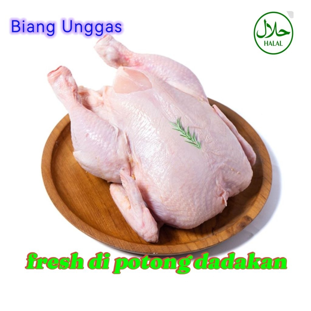 

Ayam potong fresh /ayam negeri fresh/ ayam broiler / ayam sayur