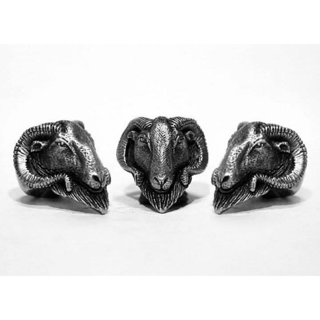 cincin domba , sheep ring