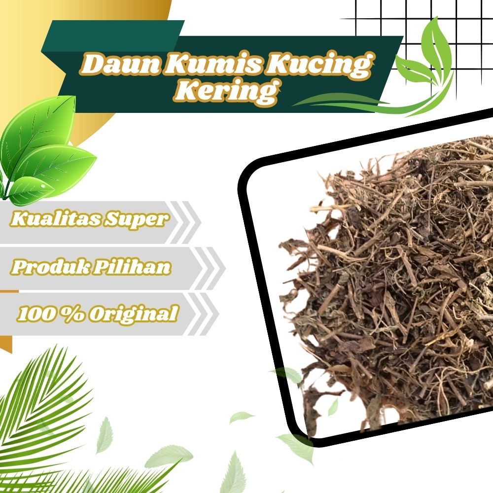 

Jamu Herbal Tradisional Kumis Kucing membantu Mengobati infeksi saluran kemih (ISK)