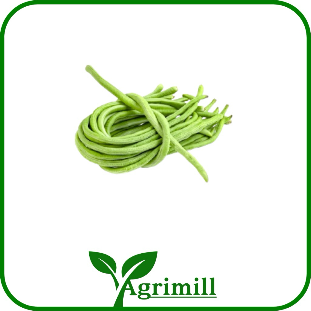 

Kacang Panjang 250gr