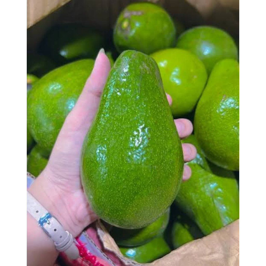 

Alpukat Mentega Jumbo per kg isi 3-4