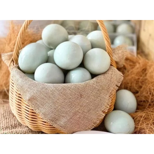 

TELUR BEBEK MENTAH 10 BUTIR