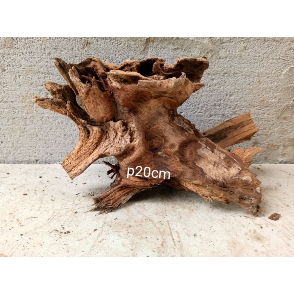 kayu aquascape ful tenggelam