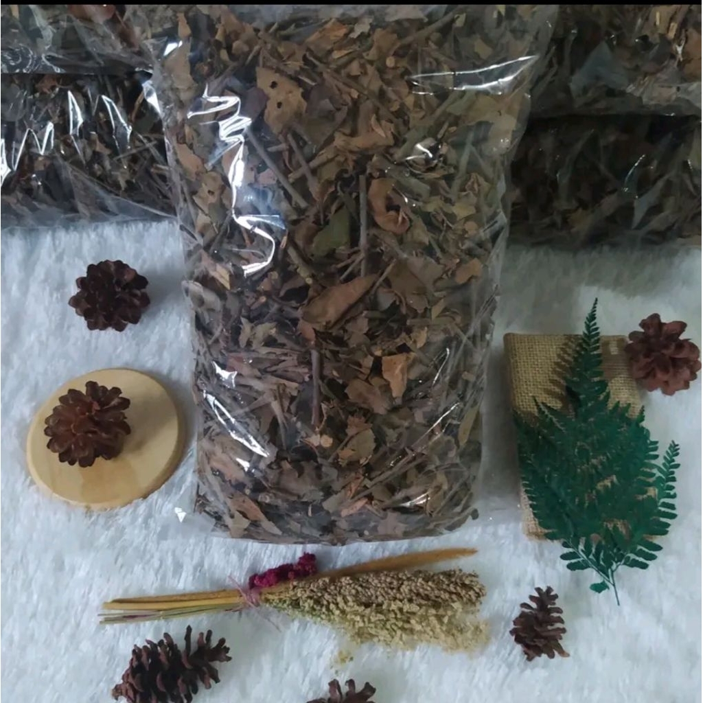 

JUAL DAUN BENALU TEH KERING 500 GRAM