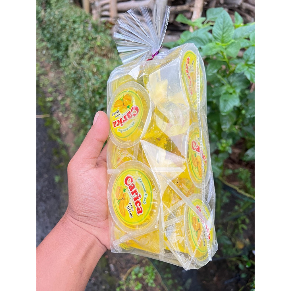 

Manisan Carica 10 Cup Khas Dieng Minuman Carica Khas Dieng Wonosobo 100% Gula Murni