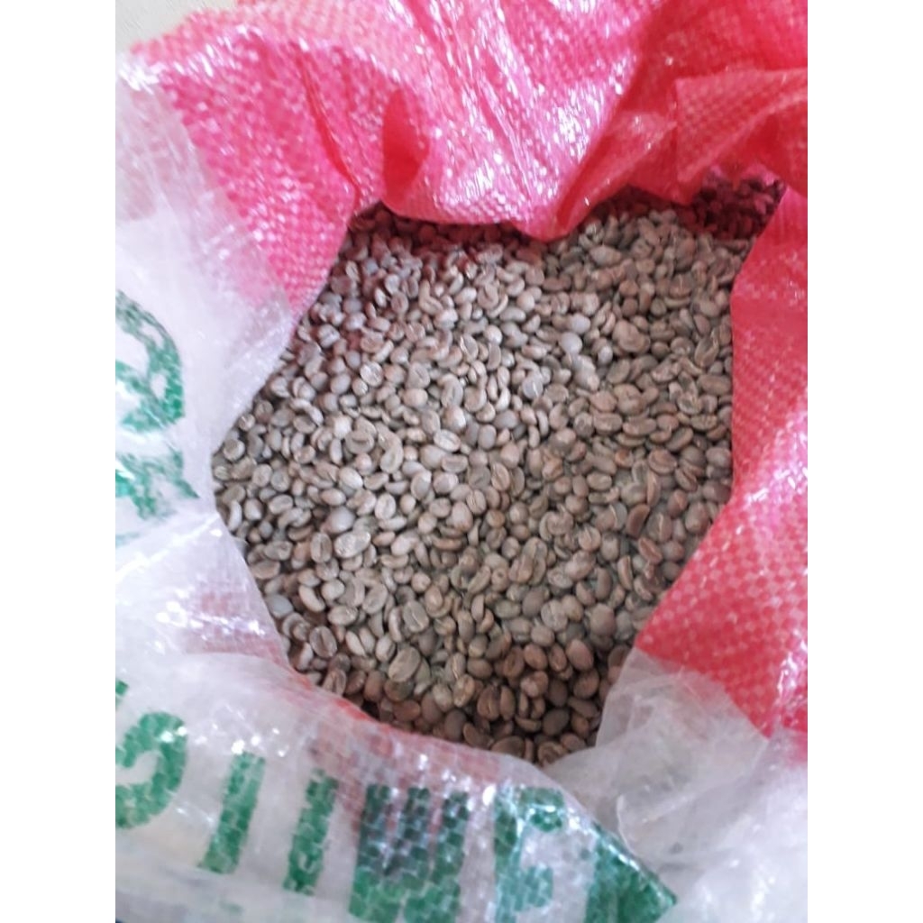 

greenbean kopi luwak liar