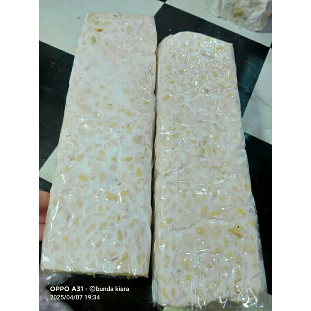 

Tempe Kedelai