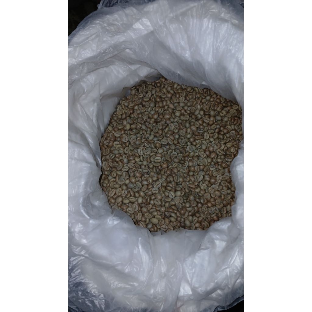 

BIJI KOPI ROBUSTA TEMANGGUNG ORIGINAL (GREENBEANKOPI/BIJI MENTAH) FULL PETIK MERAH ABANGAN | 1kg