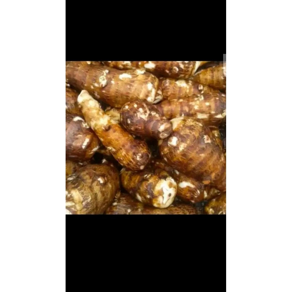 

talas/ketela segar 1kg