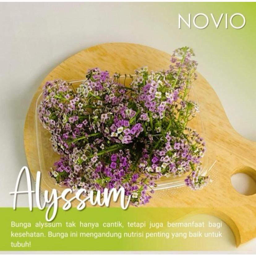 

Edible flower alyssum / alyssum / bunga alyssum /edible flower / fresh