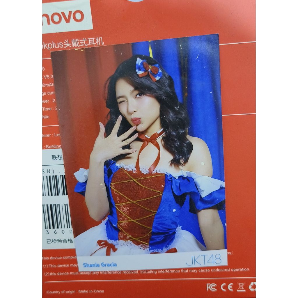 PP gracia wonderland original