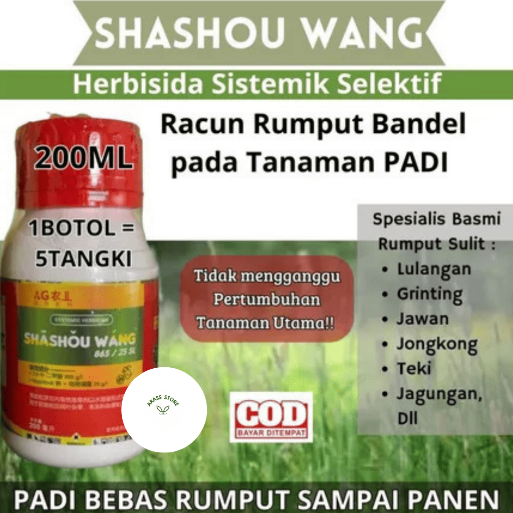 Shashouwang Merah Pembasmi Rumput Liar Membandel, Gulma Grinting Jawan Lulangan