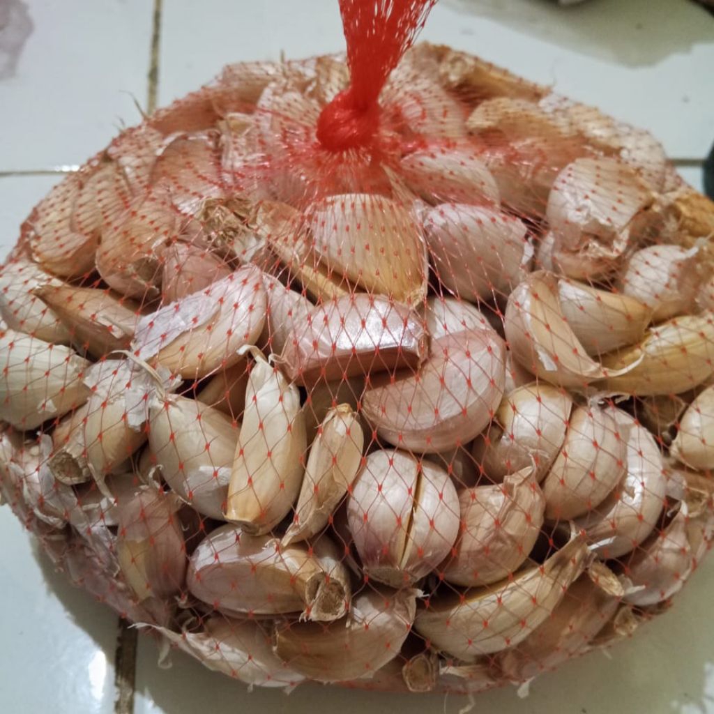 

Bawang putih protol - Bawang putih segar praktis - siap pakai