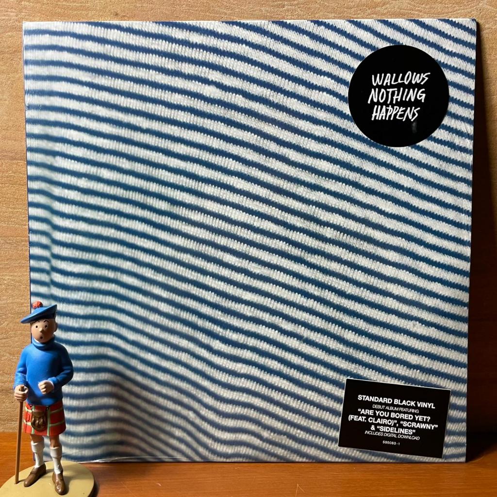 PIRINGAN HITAM / VINYL WALLOWS - NOTHING HAPPENS