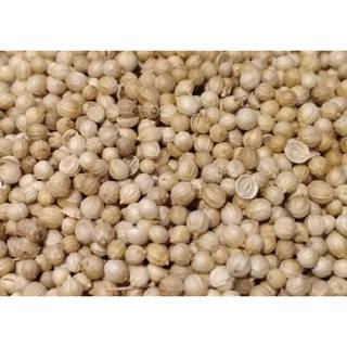 

BIJI KETUMBAR UTUH TERMURAH 500 GR KEMASAN BAIK ANTI BOCOR