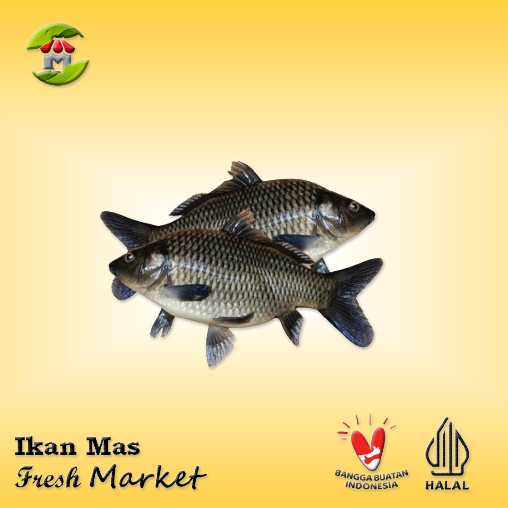 

[JAKBAR] Ikan Mas Tawar 900gr - 1kg