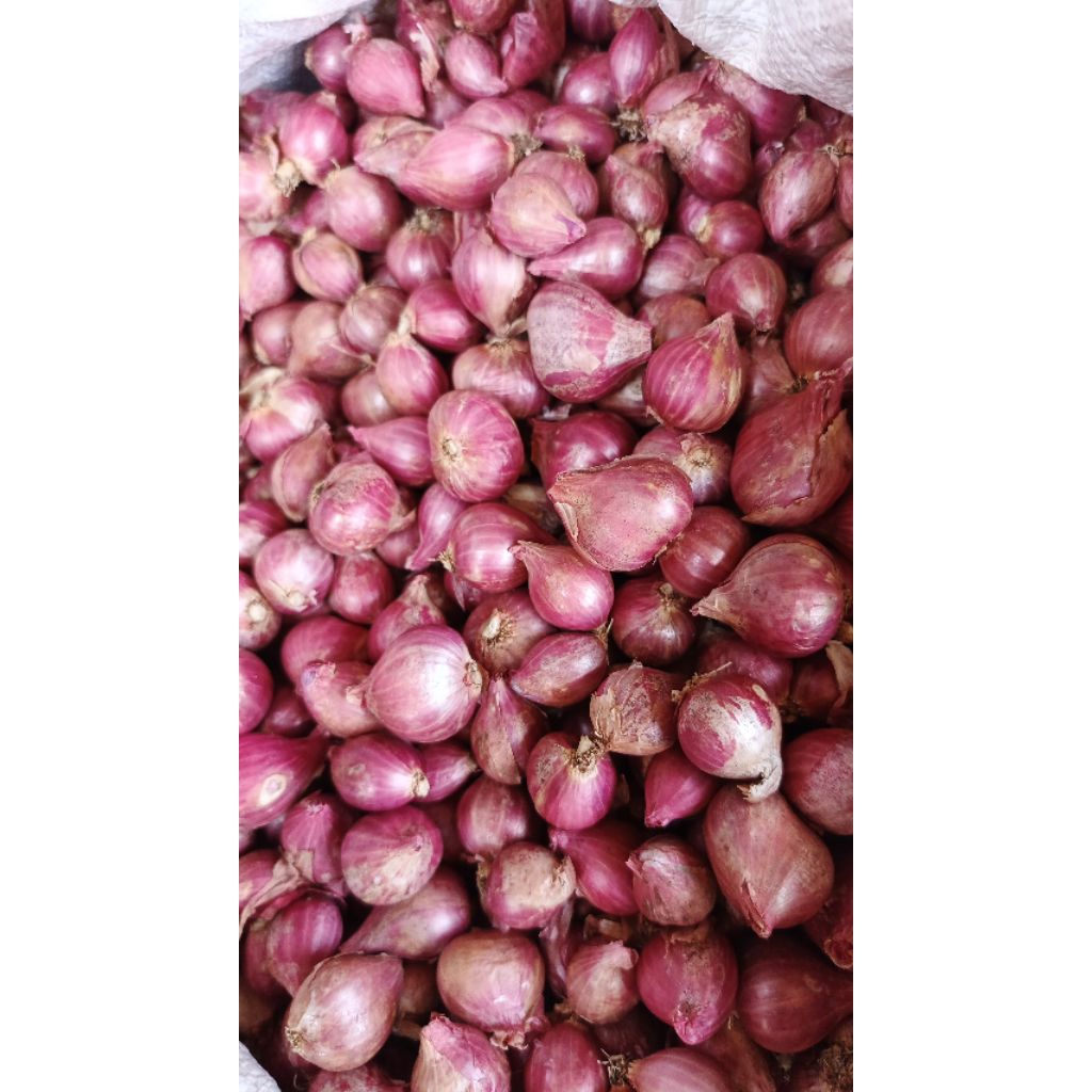 

Bawang merah ukuran (campur tanggung)