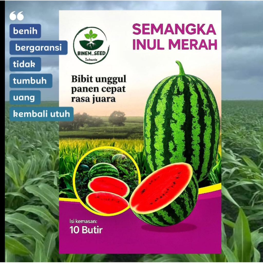

semangka inul merah