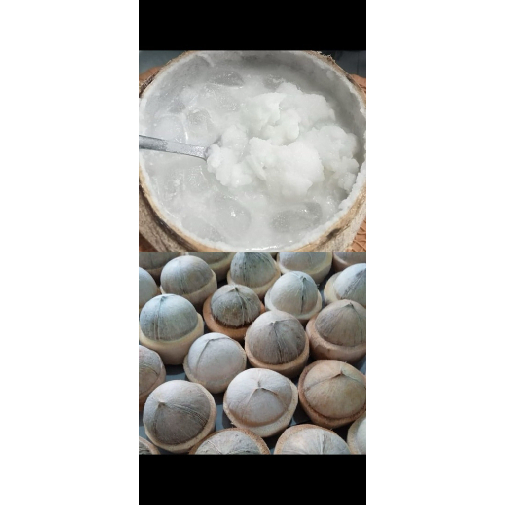 

KELAPA KOPYOR FRESH