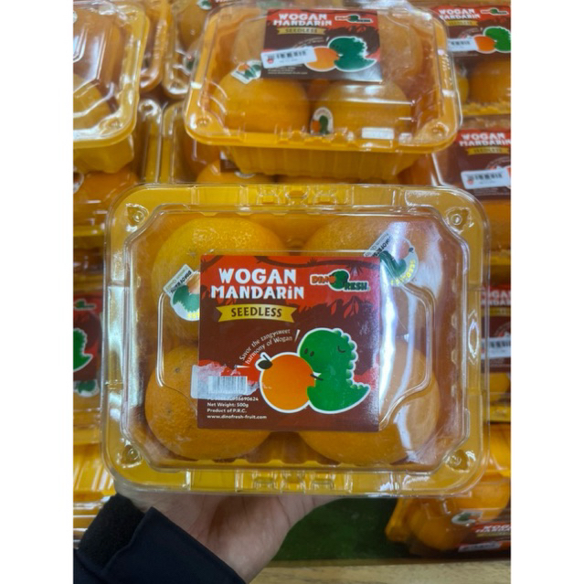 

Jeruk Wogan Dino Seedless | Jeruk Wokam Seedless Isi 4 Pcs | Pack